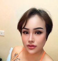 Sophia - Acompañantes transexual in Al Sohar
