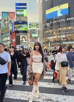 Sophia - Versatile with Big Hard Dick - Transsexual escort in Tokyo Photo 14 of 14
