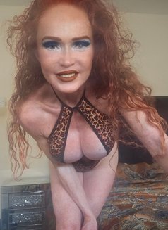 Sophia4you - escort in Newmarket, Suffolk Photo 2 of 7