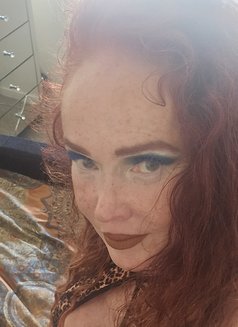 Sophia4you - escort in Newmarket, Suffolk Photo 3 of 7