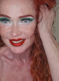 Sophia4you - escort in Newmarket, Suffolk Photo 5 of 7