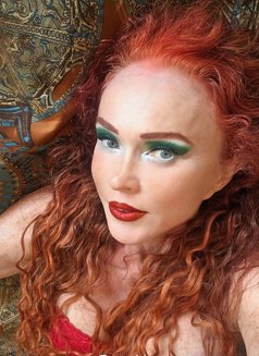 Sophia4you - escort in Newmarket, Suffolk Photo 6 of 7