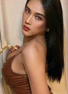 Sophie at Your Service - Transsexual escort in Bangkok Photo 6 of 12