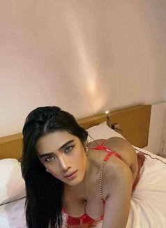 Sophie at Your Service - Transsexual escort in Bangkok Photo 7 of 12
