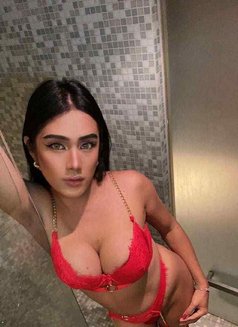 Sophie at Your Service - Transsexual escort in Bangkok Photo 8 of 12