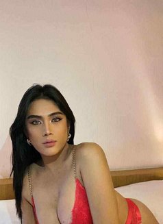 Sophie at Your Service - Transsexual escort in Bangkok Photo 9 of 12