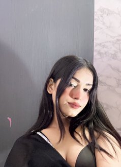 Sophie available cam and videos - Acompañantes transexual in Chennai Photo 19 of 24