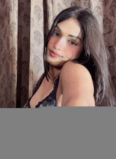 Sophie available cam and videos - Acompañantes transexual in Chennai Photo 24 of 24