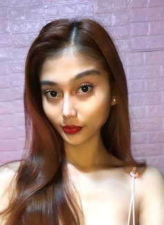 Sophie (Camshow and Meet) - Transsexual escort in Manila Photo 1 of 6