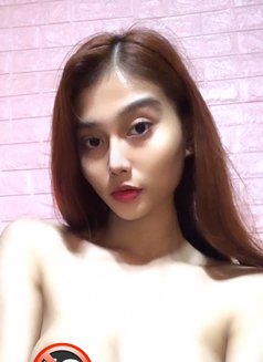 Sophie (Camshow and Meet) - Transsexual escort in Manila Photo 3 of 6