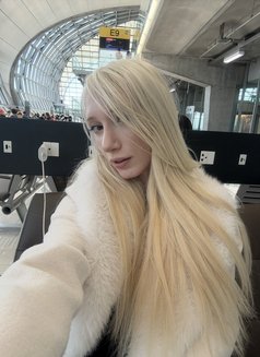 Sophie Hoffmann - escort in Dubai Photo 4 of 19