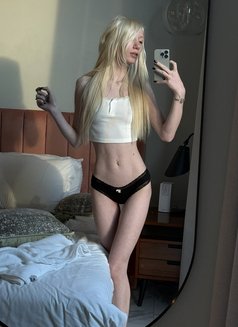 Sophie Hoffmann - escort in Dubai Photo 5 of 19