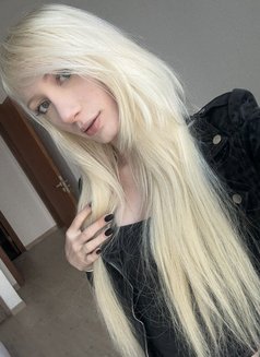 Sophie Hoffmann - escort in Dubai Photo 7 of 19