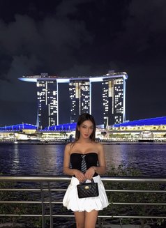 SOPHIE Lj - Massive Cock - Transsexual escort in Bangkok Photo 22 of 22