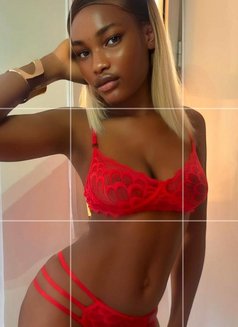 Sophie - escort in Kuala Lumpur Photo 8 of 8