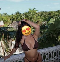 Sophie - puta in Erbil