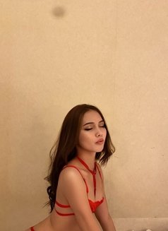 Hot Sophie 🇨🇦/🇵🇭 - Transsexual escort in Bangkok Photo 3 of 10