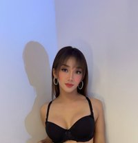 SOPHIEHUGECOCK - Transsexual escort in Bangkok Photo 21 of 23