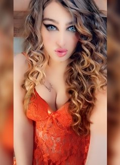 Mrs. EgyptMrs. Egypt - Transsexual escort in Cairo Photo 1 of 13