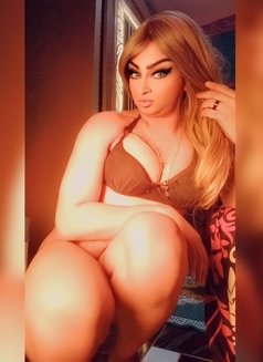 Mrs. EgyptMrs. Egypt - Transsexual escort in Cairo Photo 7 of 13