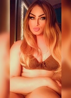 Mrs. EgyptMrs. Egypt - Transsexual escort in Cairo Photo 13 of 13