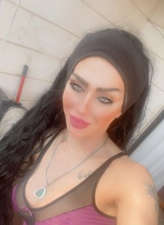 Soso - Transsexual escort in Beirut Photo 1 of 15