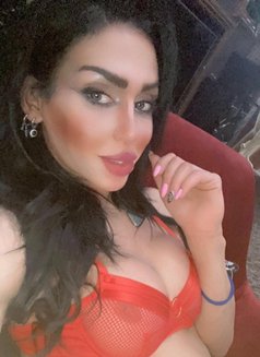 Soso - Transsexual escort in Beirut Photo 10 of 15