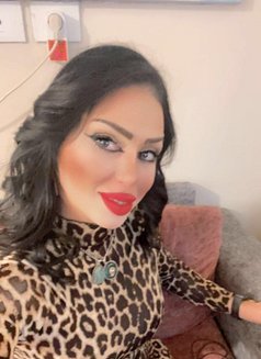 Soso - Transsexual escort in Beirut Photo 13 of 15