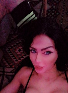 Soso - Transsexual escort in Beirut Photo 14 of 15