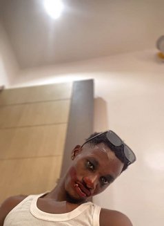 Sosoul - Transsexual escort in Abuja Photo 1 of 3