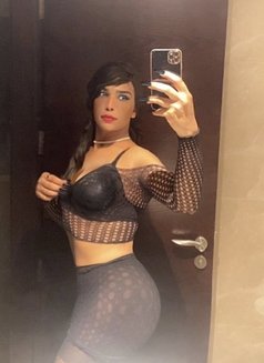 Soufia Thick Tool - Transsexual escort in Dubai Photo 1 of 1
