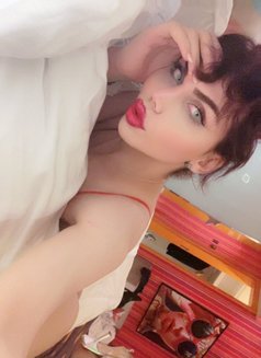 Sozy - Transsexual escort in Amman Photo 10 of 12