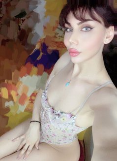 Sozy - Transsexual escort in Amman Photo 11 of 12