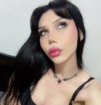 Sozy - Transsexual escort in Amman