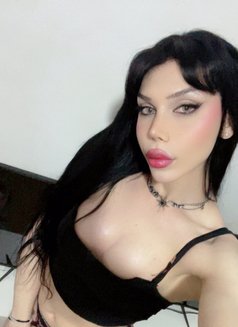 Sozy - Transsexual escort in Amman Photo 14 of 14