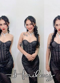 Spa Narra (High End Nuru) - escort in Manila Photo 5 of 19