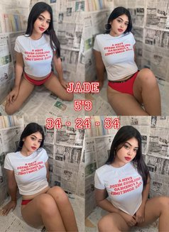Spa Narra WITH HAPPY ENDING (Nuru) - escort in Manila Photo 18 of 22