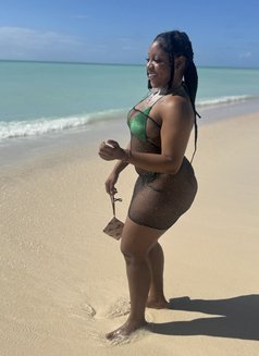 Sparkles - adult performer in Barbados Photo 2 of 2