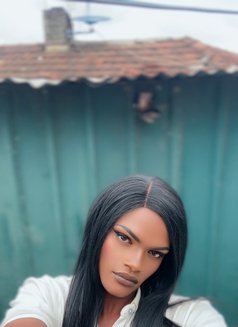 Spaxx - Acompañantes transexual in Nairobi Photo 1 of 5