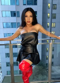 Mistress ShashaQueen - Transsexual escort in Kuala Lumpur Photo 2 of 29