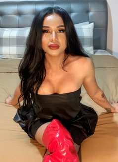 Mistress ShashaQueen - Transsexual escort in Kuala Lumpur Photo 23 of 29