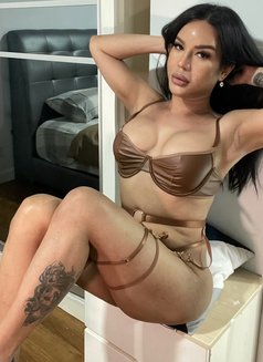 Mistress ShashaQueen - Transsexual escort in Kuala Lumpur Photo 26 of 29
