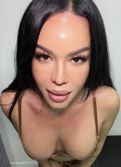 Mistress ShashaQueen - Transsexual escort in Kuala Lumpur Photo 1 of 29