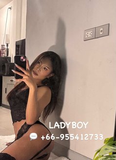 Spice&Nicha - escort in Phuket Photo 2 of 4