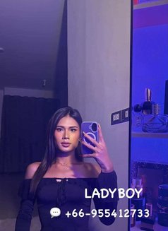 Spice&Nicha - escort in Phuket Photo 4 of 4