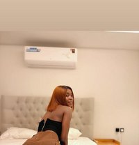 Spice - escort in Riyadh