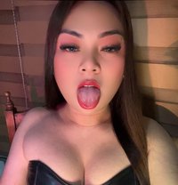 Spicy Candy - Transsexual escort in Davao