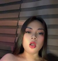 Spicy Candy - Transsexual escort in Davao