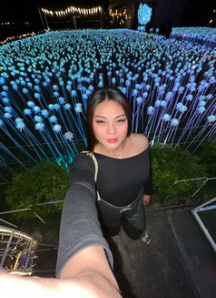 Spicy Candy - Transsexual escort in Davao Photo 6 of 13
