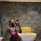 Spicy - escort in Abidjan